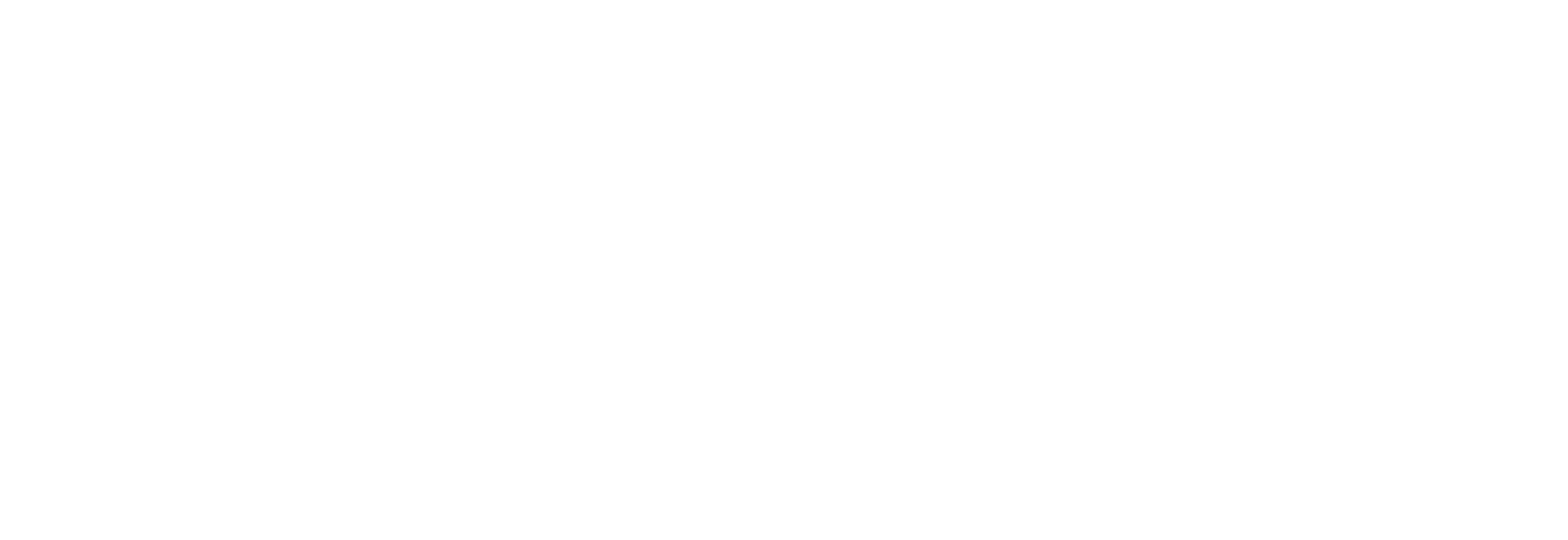 Prasio_logo_white